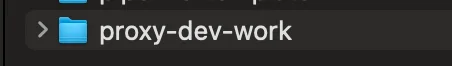 proxy-dev-work라는 이름으로 Git 워킹 디렉터리가 생성된 모습