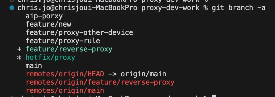 git branch -a로 브랜치 목록을 조회한 결과