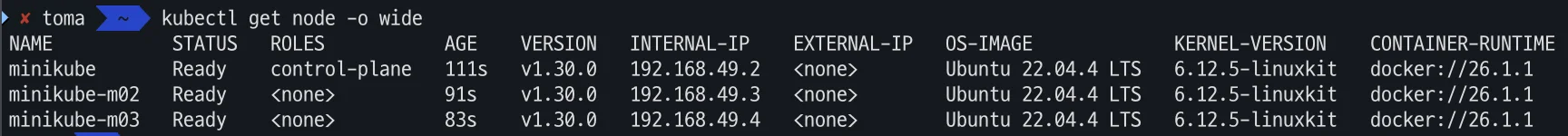 Minikube로 Kubernetes를 설치, 구성한 결과