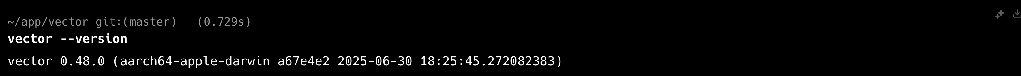 Vector 버전 확인 화면