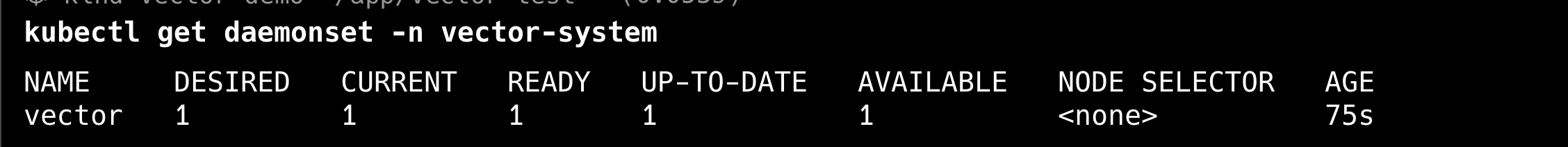 Vector 정상 실행 화면(모든 노드)