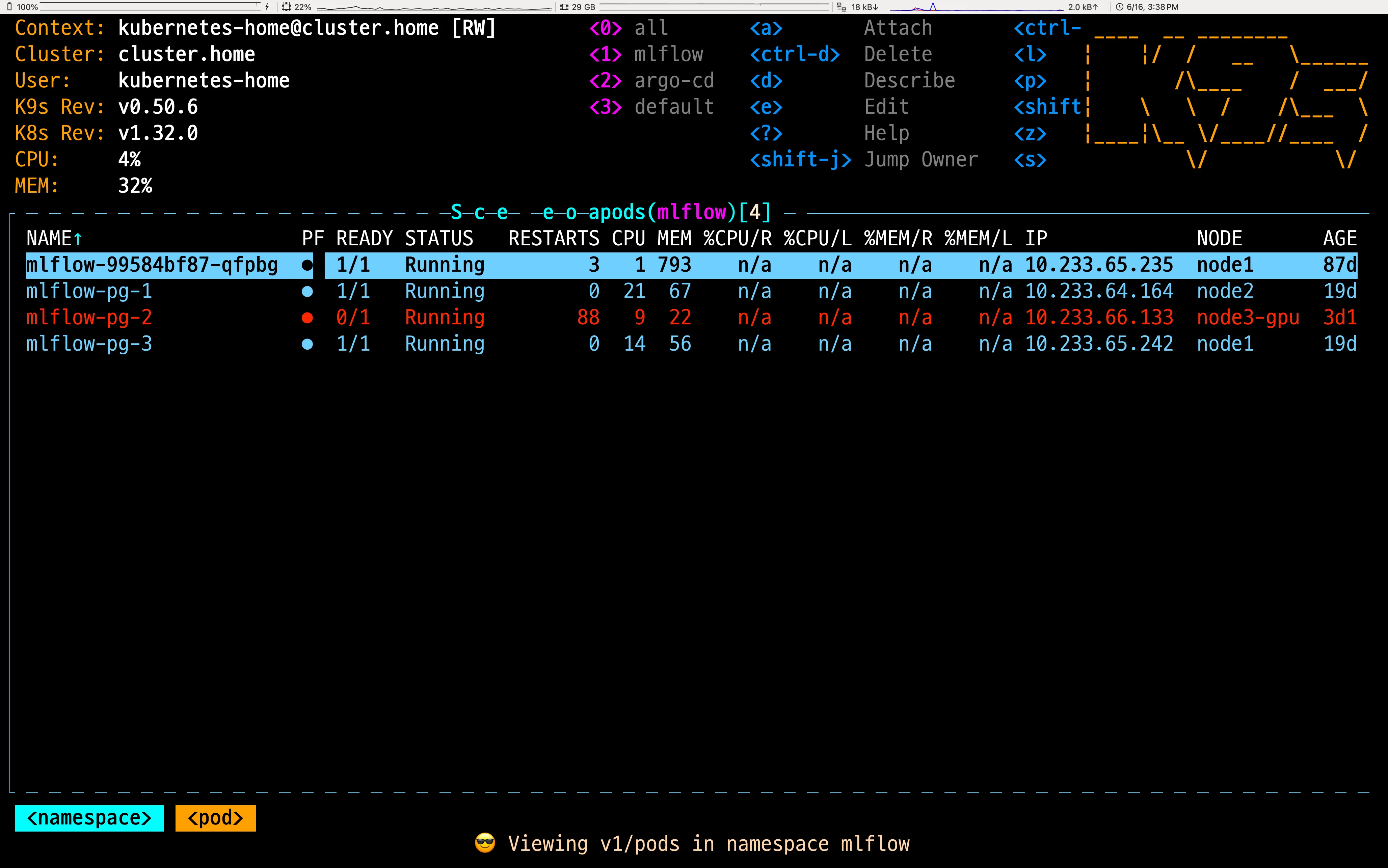 문제가 생긴 Pod가 빨간색으로 표시된 모습