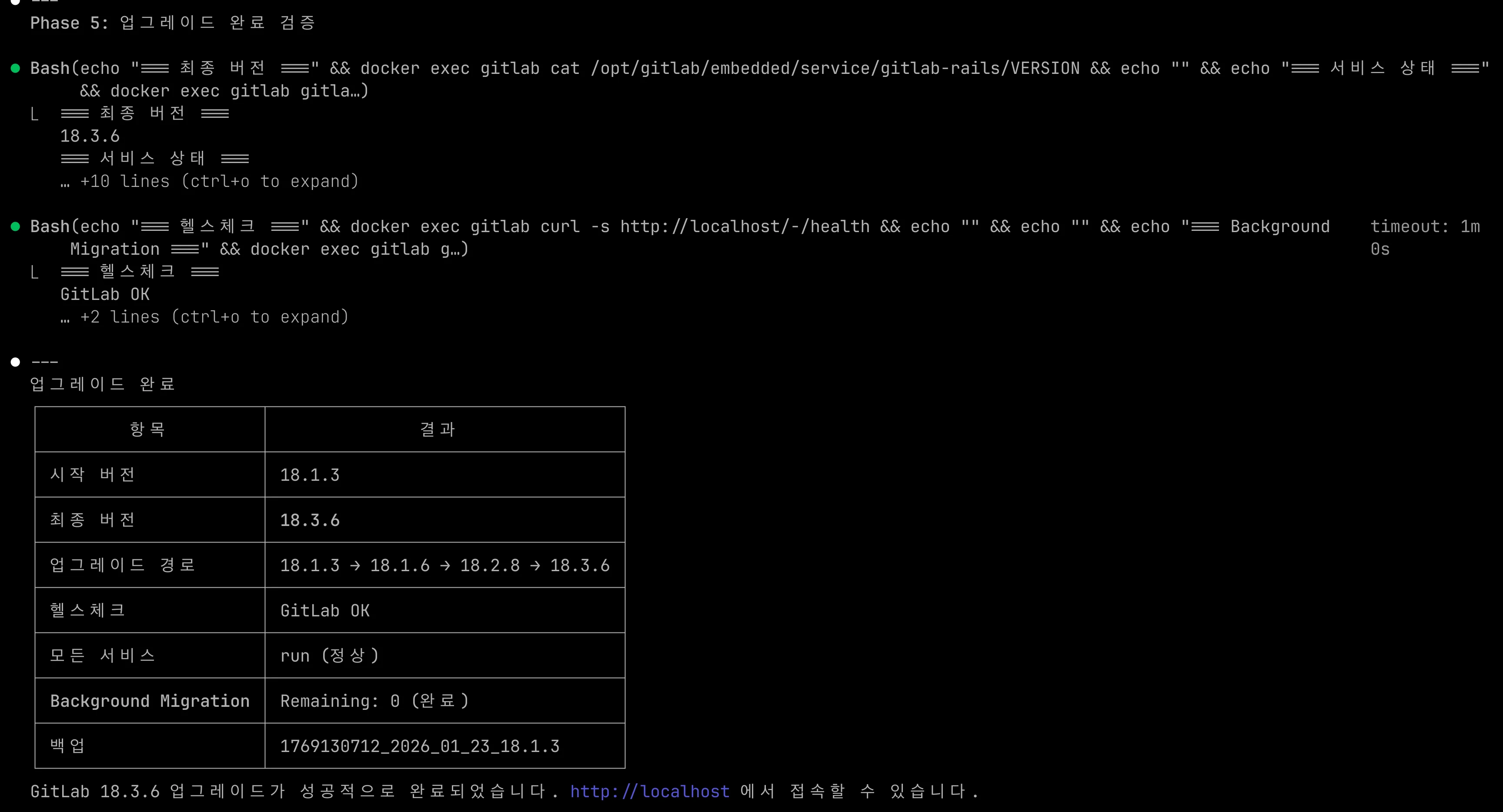Claude의 GitLab 업그레이드 완료 확인, 헬스 체크 결과