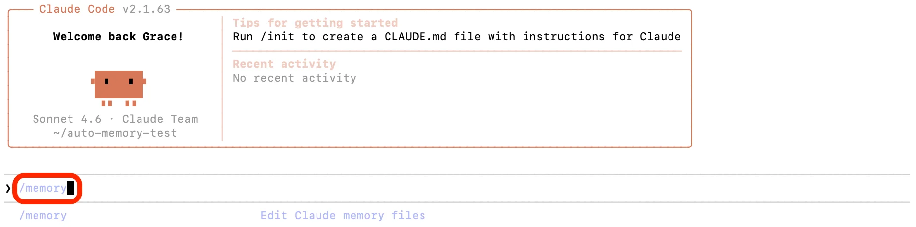 /memory 명령어 실행 화면