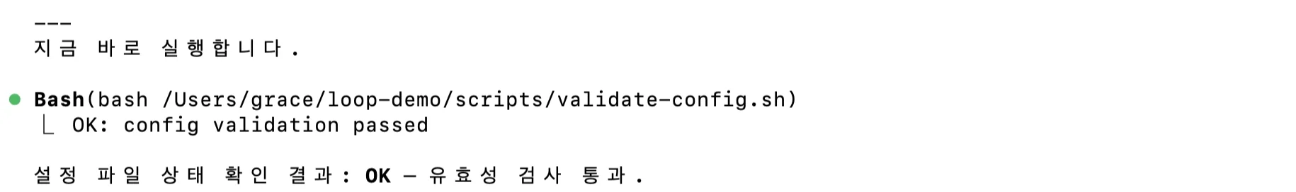 설정 파일 상태 점검 결과