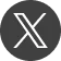 X (formerly Twitter) icon